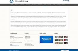 Basic Page - Professional Web Design and Development Project by Revelation BD for A Hossain Group