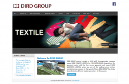 Home Page - Professional Web Design and Development Project by Revelation BD for DIRD Group
