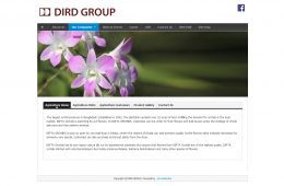 About Us Page - Company Page - Professional Web Design and Development Project by Revelation BD for DIRD Group